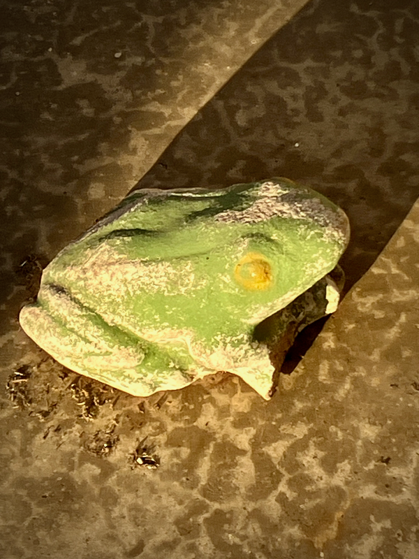 Mr. Toad