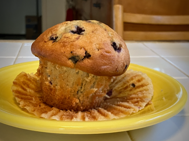 Il Muffin Inclinato di Pisa