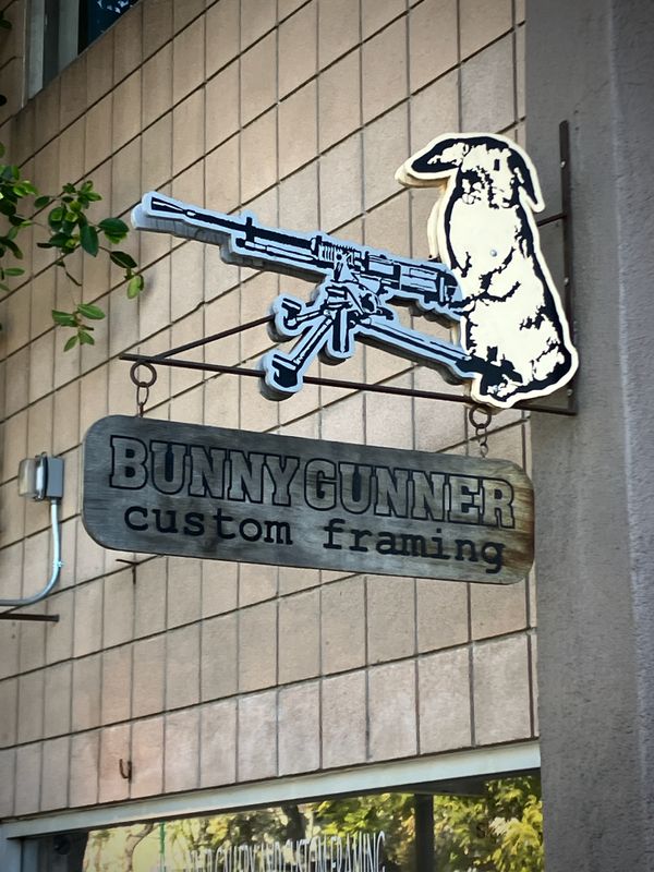 Bunny Gunner