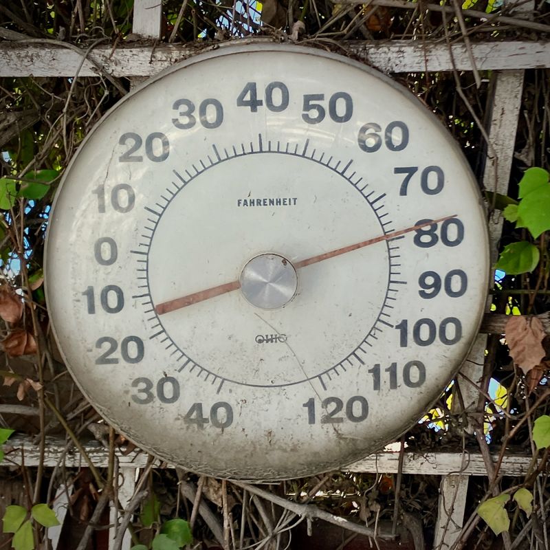 Spring Equinox 2025