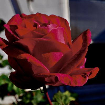 g13/78/459878/3/173260675.42c1f214.JPEG