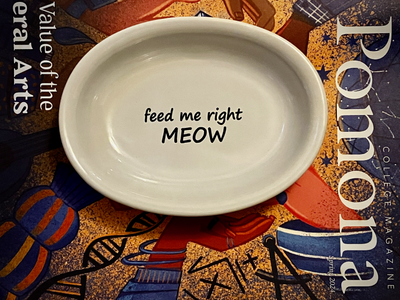 Meow Cat Bowl