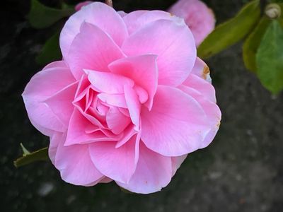 g13/78/459878/3/175238092.7d4a30d2.JPEG