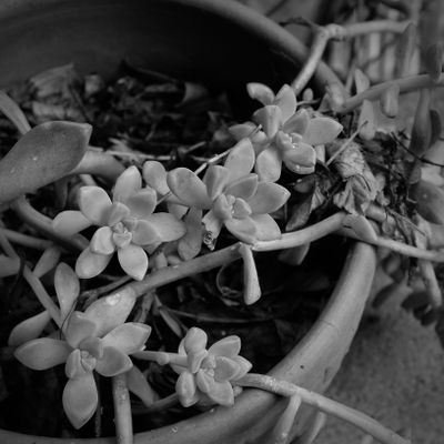 g13/78/459878/3/175431301.0d97813b.JPEG