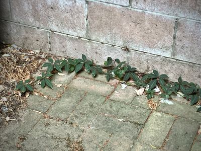 Turning a Corner