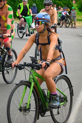 _DSC3664-D-clear.jpg
