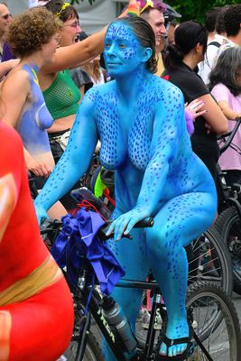 _DSC4084-D-clear.jpg