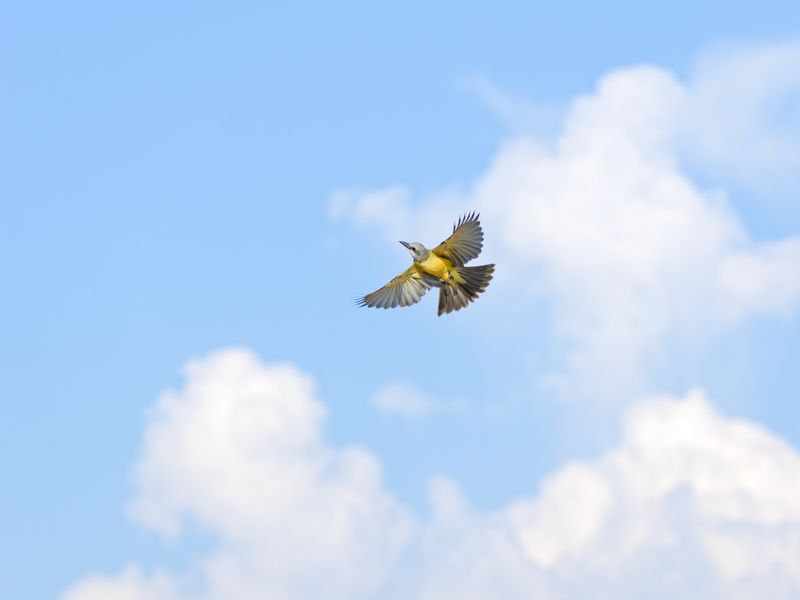 P9296833_dxo.jpg