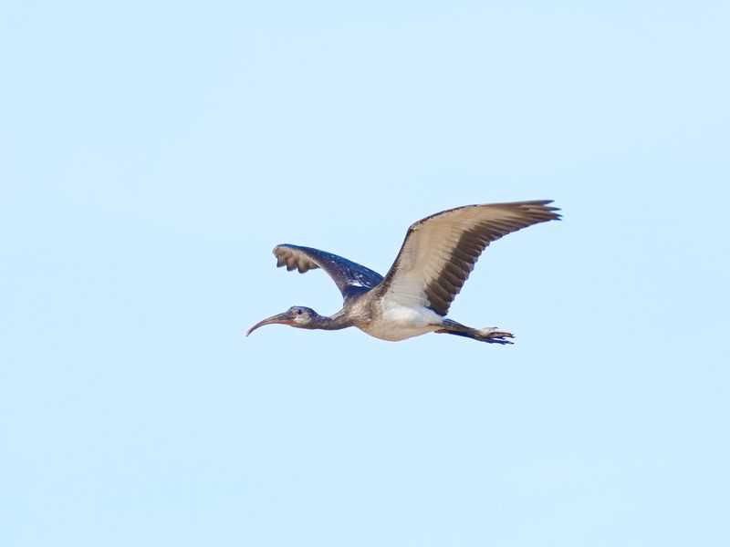 P8100150_DxO.jpg