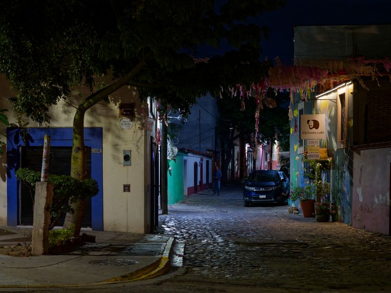 Oaxaca Nights