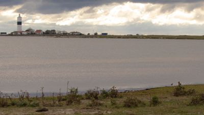 Strre beckasinsn [Long-b Dowitcher] IMGL5526.jpg