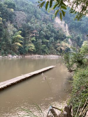 IMG_4520.JPG