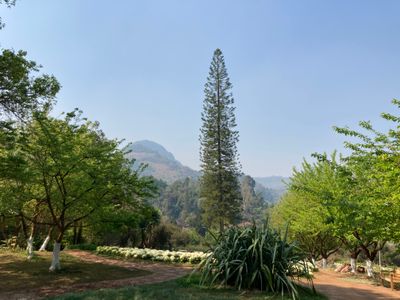 IMG_4560.JPG