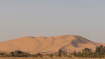 Sahara 0L4A8784.jpg