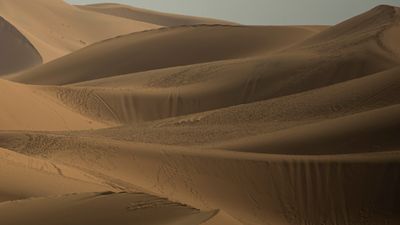Sahara 0L4A9238.jpg