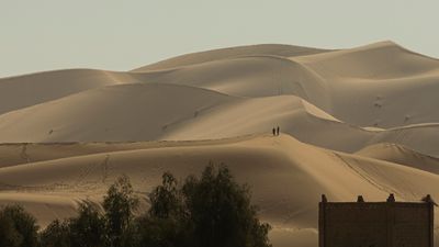 Sahara 0L4A9240.jpg