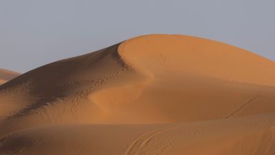 Sahara 0L4A9361.jpg