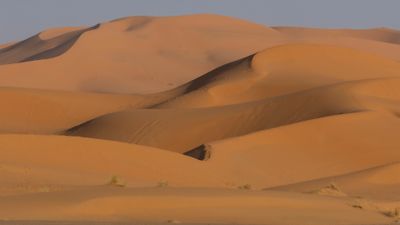 Sahara 0L4A9363.jpg