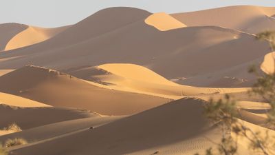 Sahara 0L4A9364.jpg