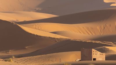 Sahara 0L4A9371.jpg