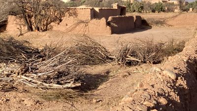 IMG_6306r.jpg