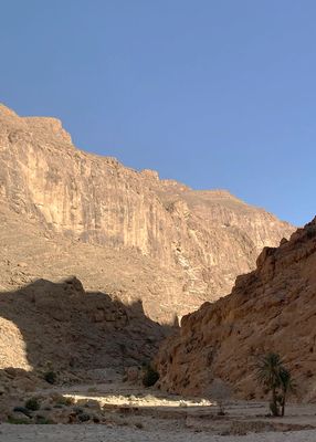 IMG_6321r.jpg