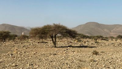 IMG_6339r.jpg