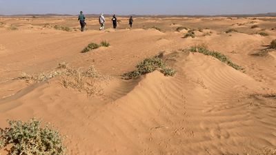 IMG_6390r.jpg