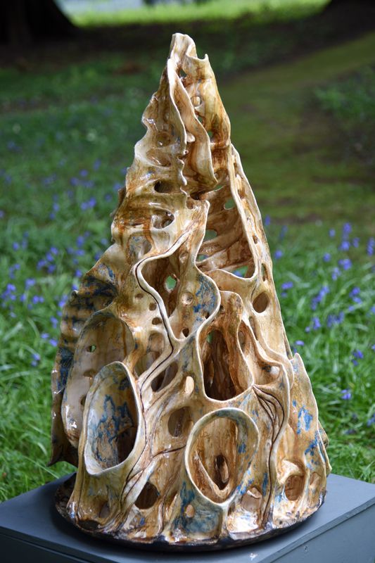 Cone Shell-Life Entwined