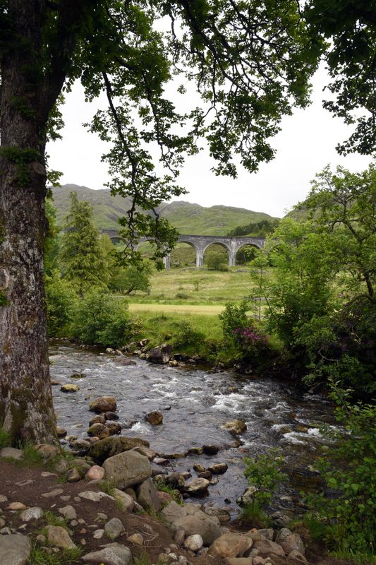 Glenfinnan Viaduct in the background