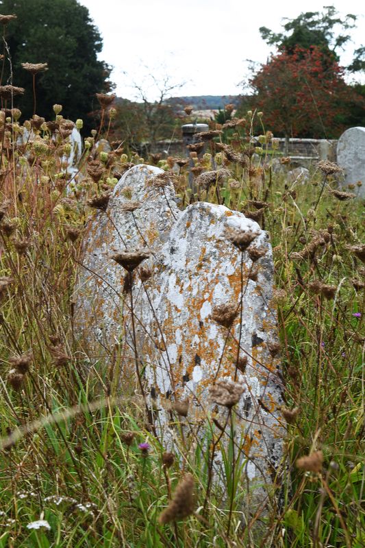 St Michaels churchyard Amberley