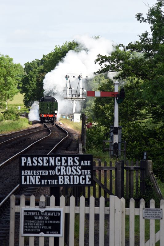 Bluebell line