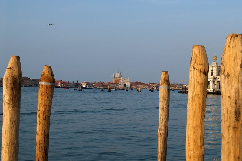VENICE 05 2006