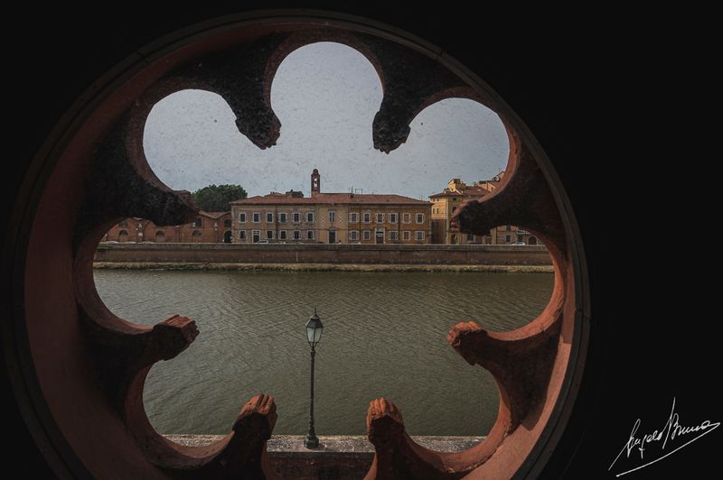Pisa-0157.jpg