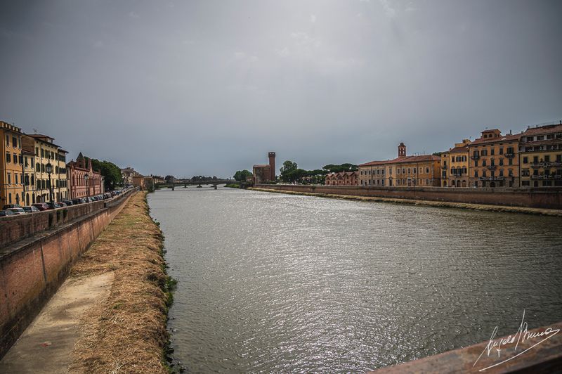 Pisa-0163.jpg