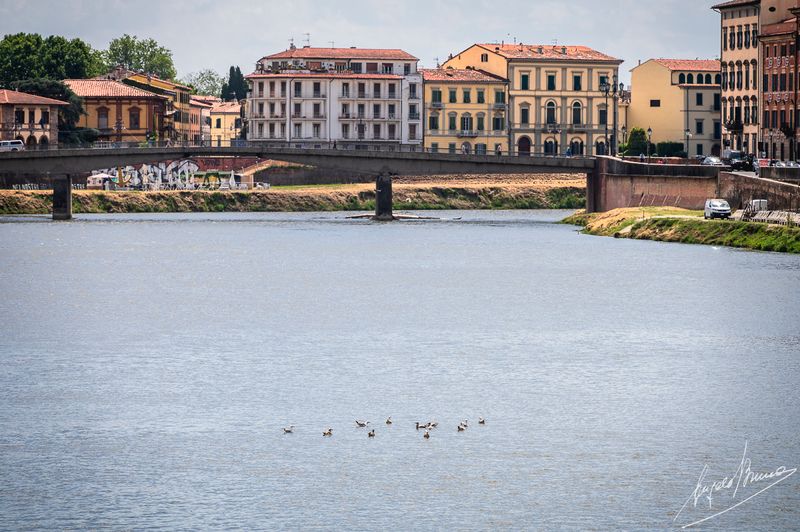 Pisa-0340.jpg