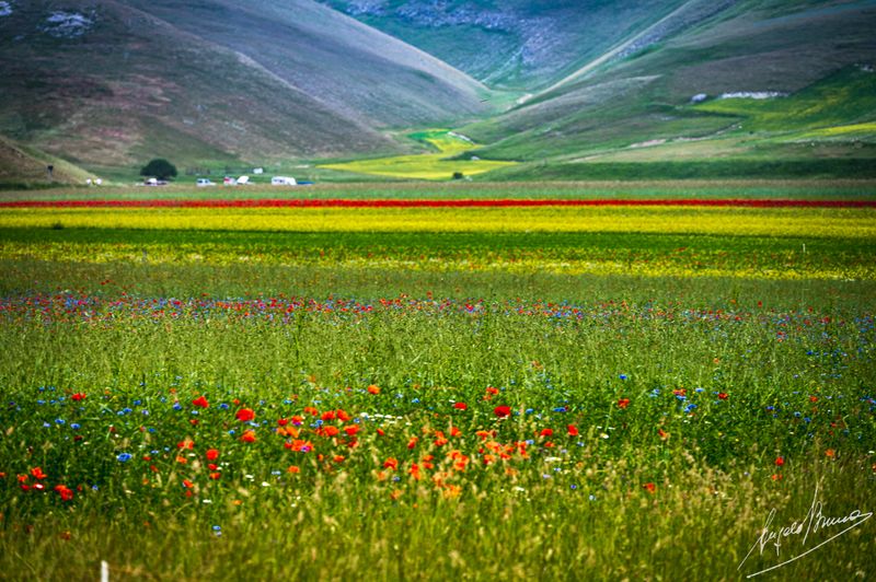 Castelluccio-0564.jpg