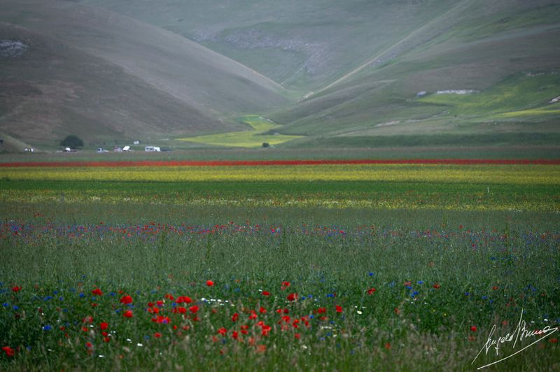Castelluccio-0565.jpg