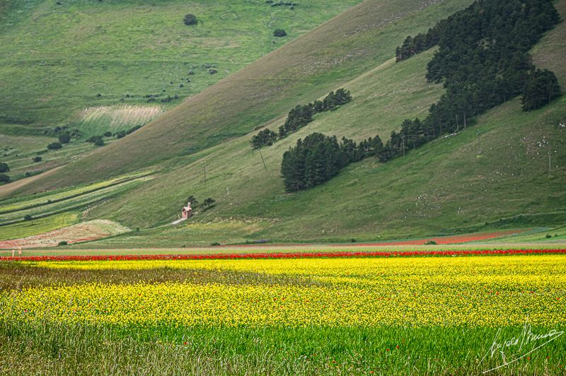 Castelluccio-0575.jpg