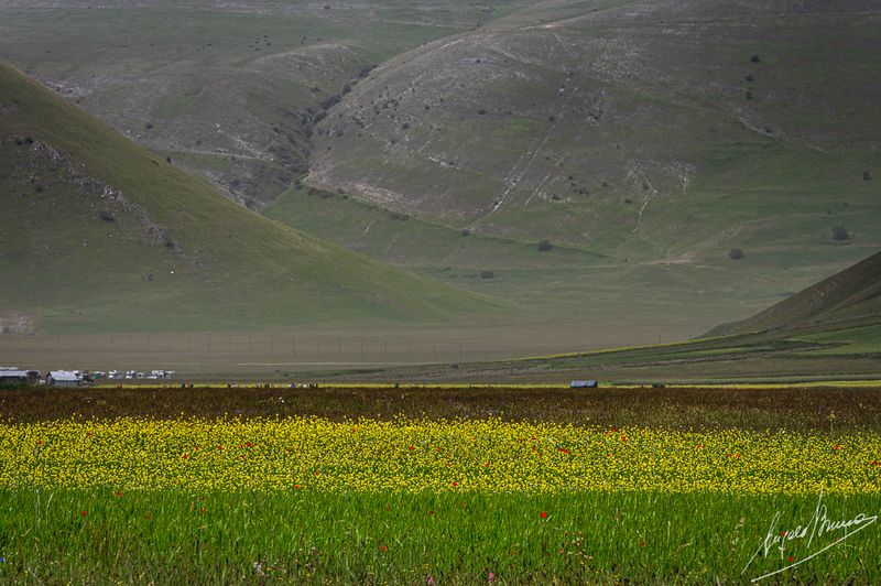 Castelluccio-0576.jpg