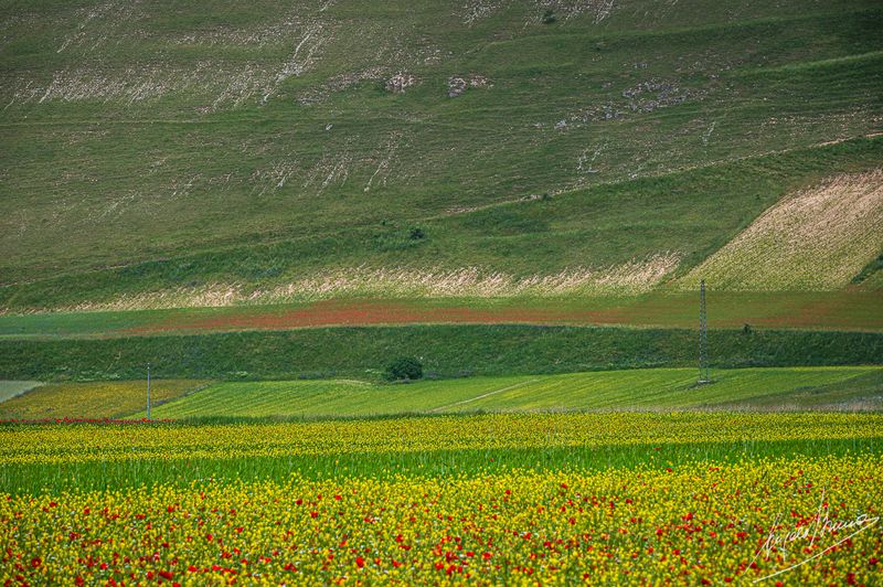 Castelluccio-0578.jpg