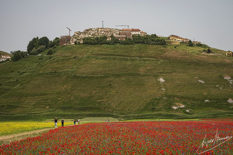 Castelluccio-0584.jpg