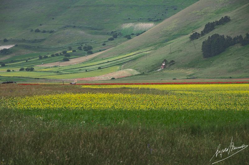 Castelluccio-0589.jpg