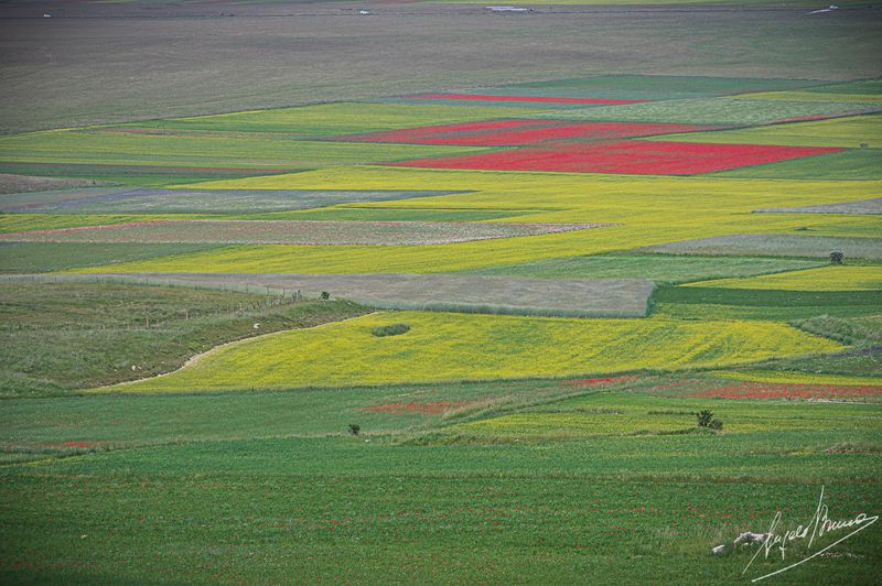 Castelluccio-0591.jpg