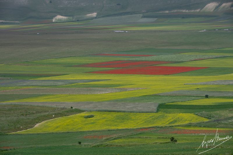 Castelluccio-0592-2.jpg
