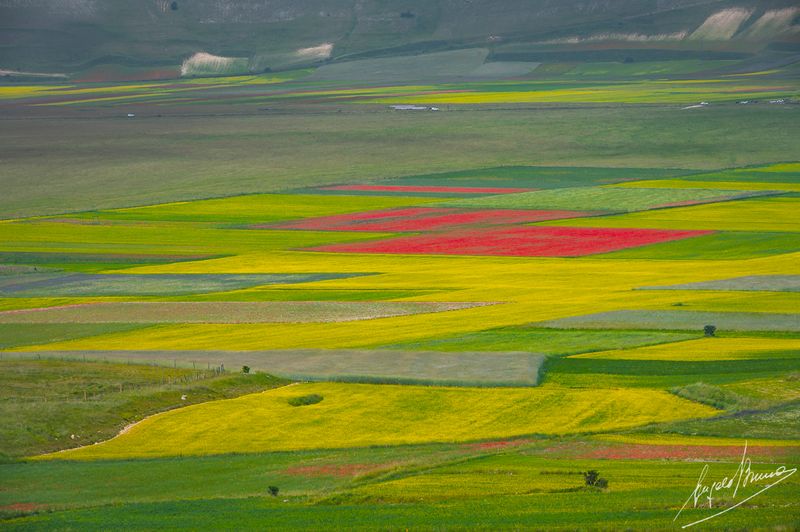 Castelluccio-0592.jpg