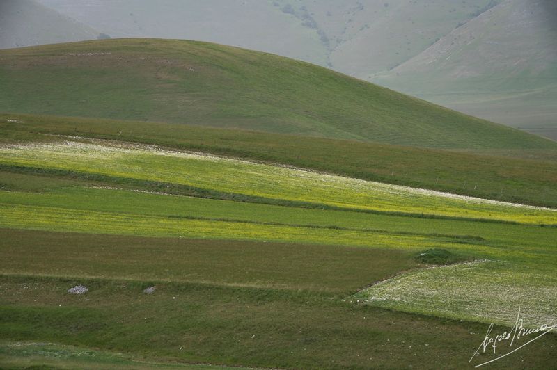 Castelluccio-0593.jpg