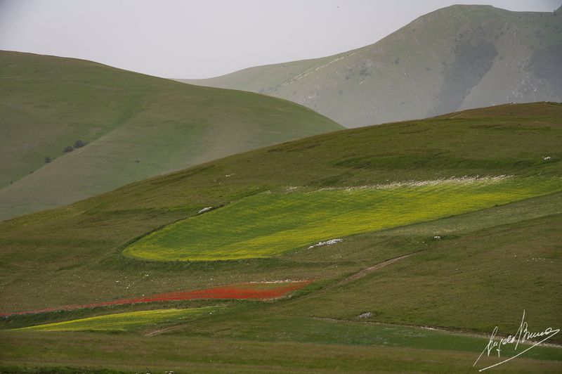 Castelluccio-0594.jpg