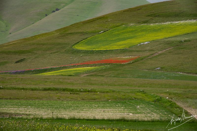 Castelluccio-0596.jpg