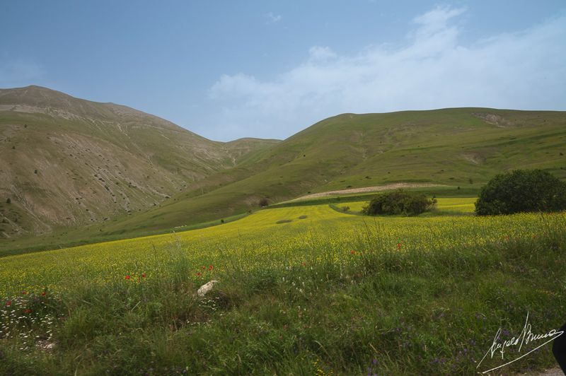 Castelluccio-0598.jpg